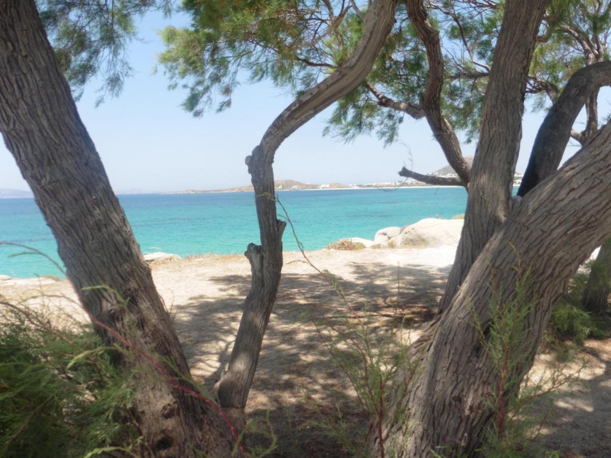 Villa Stou Chiou Agia Anna  Dış mekan fotoğraf
